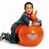 Pony Pony