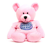 Termofor igračka Beddy Bear
